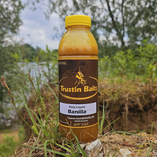 Banilla Holy Liquid (VE 500ml)