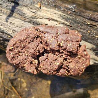 Dark Strong Fish Teig (VE 1Kg)