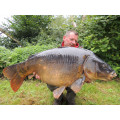 Fresh Crab Boilies
