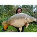 GLM Plus Boilies