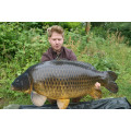 Golden Delicious Boilies