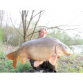 Strawberry Cream Boilies