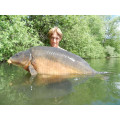 Dark Strong Fish Boilies