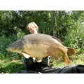 GLM Plus Boilies