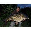 Fresh Crab Boilies