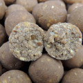 GLM Plus Boilies