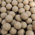 GLM Plus Boilies