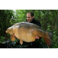 Strawberry Cream Boilies