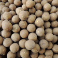 MX Sweet Boilies